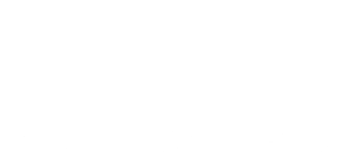 NaroTeam Logo